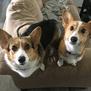 Meet your Posher, Rachel